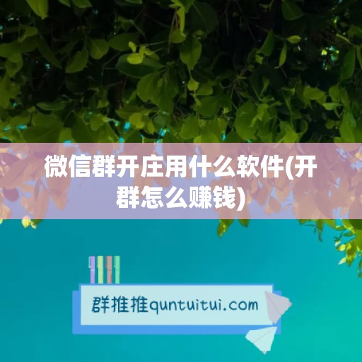 微信群开庄用什么软件(开群怎么赚钱)