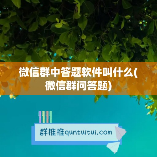 微信群中答题软件叫什么(微信群问答题)