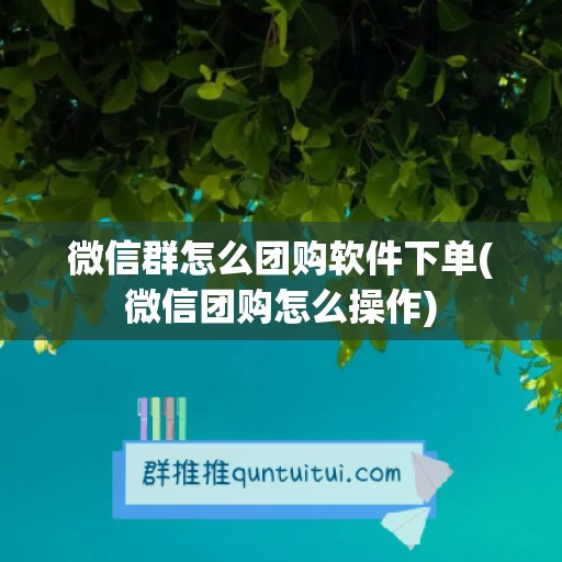 微信群怎么团购软件下单(微信团购怎么操作)