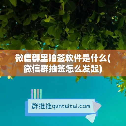 微信群里抽签软件是什么(微信群抽签怎么发起)