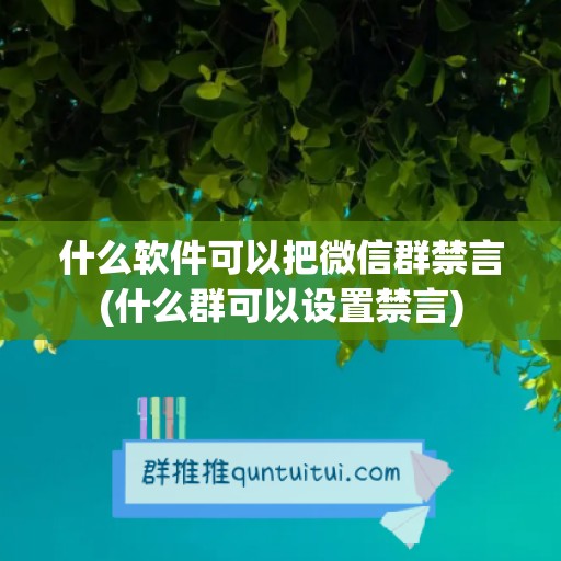 什么软件可以把微信群禁言(什么群可以设置禁言)