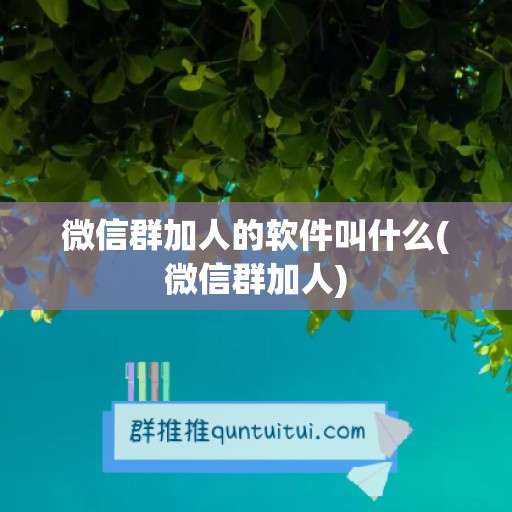 微信群加人的软件叫什么(微信群加人)