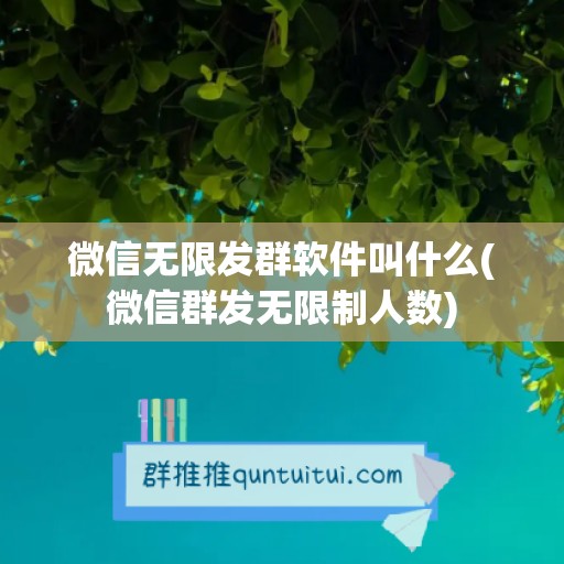 微信无限发群软件叫什么(微信群发无限制人数)