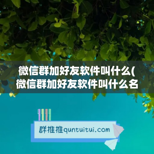 微信群加好友软件叫什么(微信群加好友软件叫什么名字)