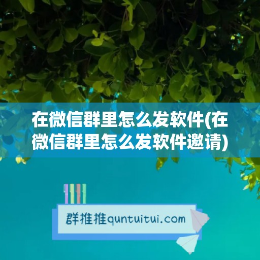 在微信群里怎么发软件(在微信群里怎么发软件邀请)