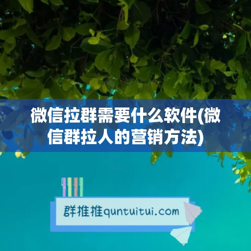 微信拉群需要什么软件(微信群拉人的营销方法)