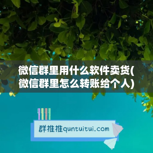 微信群里用什么软件卖货(微信群里怎么转账给个人)