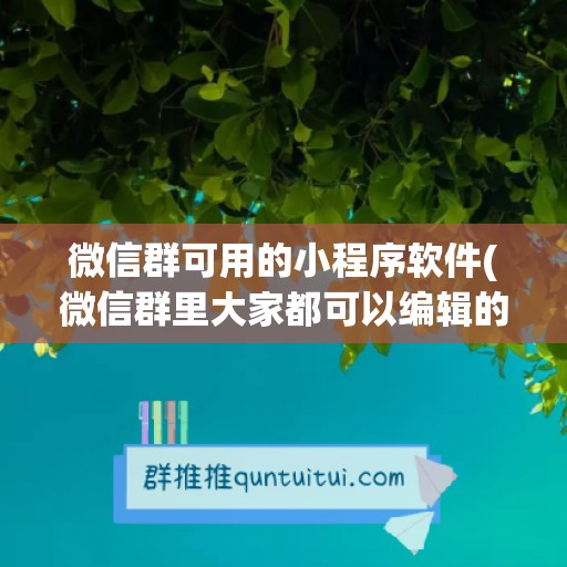 微信群可用的小程序软件(微信群里大家都可以编辑的小程序)