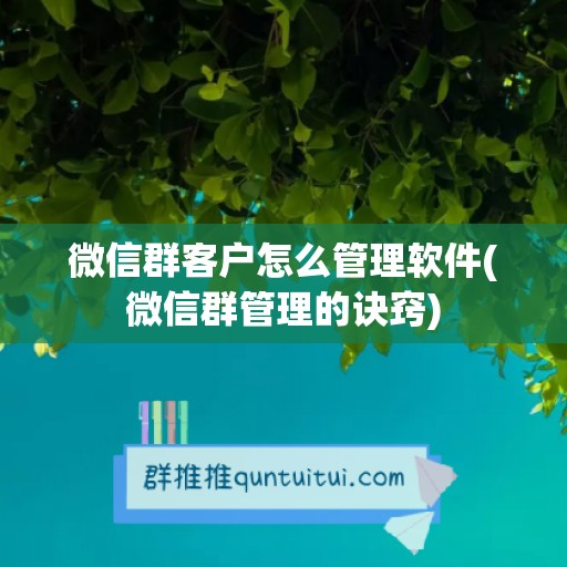 微信群客户怎么管理软件(微信群管理的诀窍)