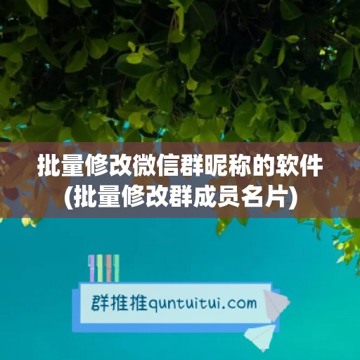 批量修改微信群昵称的软件(批量修改群成员名片)