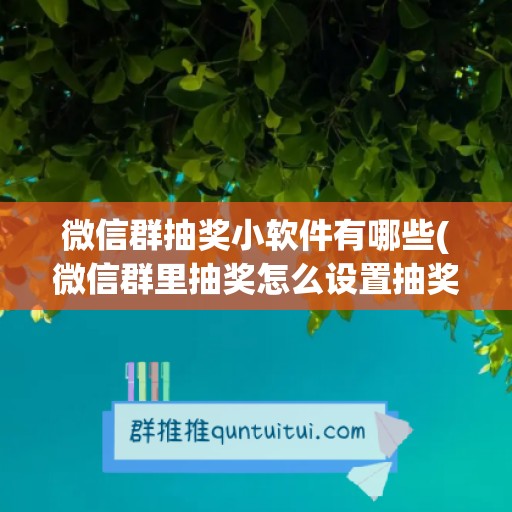 微信群抽奖小软件有哪些(微信群里抽奖怎么设置抽奖)