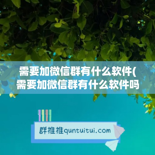 需要加微信群有什么软件(需要加微信群有什么软件吗)