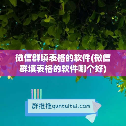 微信群填表格的软件(微信群填表格的软件哪个好)