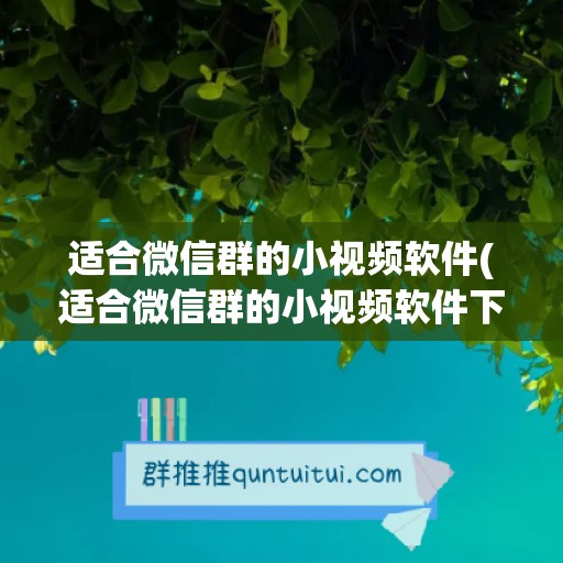 适合微信群的小视频软件(适合微信群的小视频软件下载)