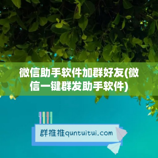 微信助手软件加群好友(微信一键群发助手软件)