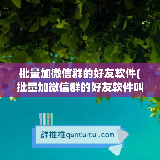 批量加微信群的好友软件(批量加微信群的好友软件叫什么)