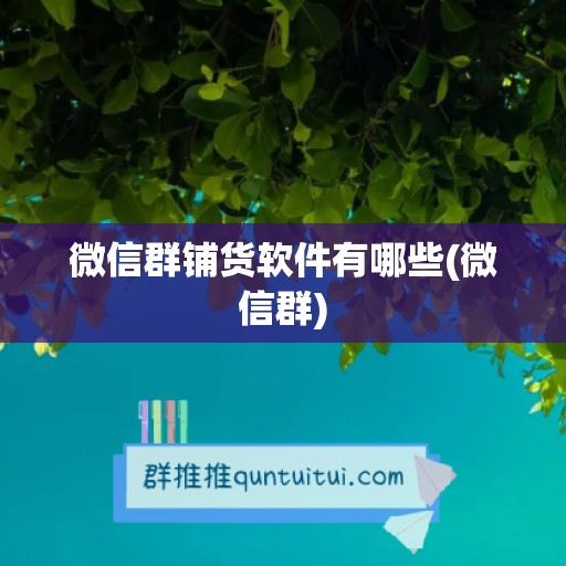 微信群铺货软件有哪些(微信群)