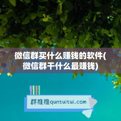 微信群买什么赚钱的软件(微信群干什么最赚钱)