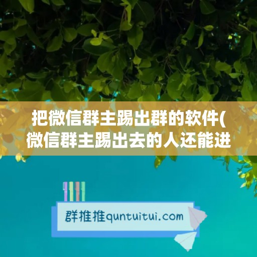 把微信群主踢出群的软件(微信群主踢出去的人还能进来吗)