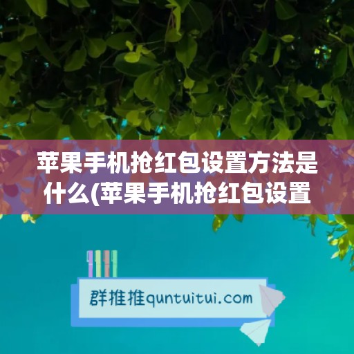 苹果手机抢红包设置方法是什么(苹果手机抢红包设置方法是什么呢)