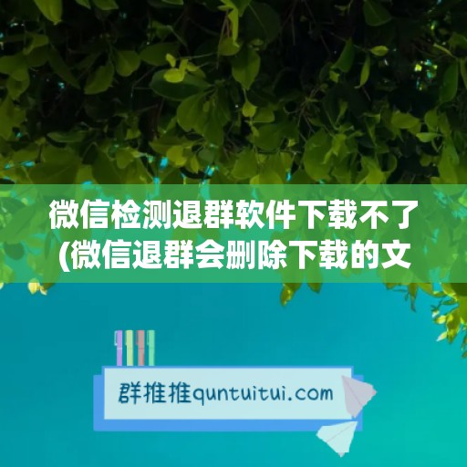 微信检测退群软件下载不了(微信退群会删除下载的文件吗)