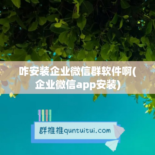 咋安装企业微信群软件啊(企业微信app安装)