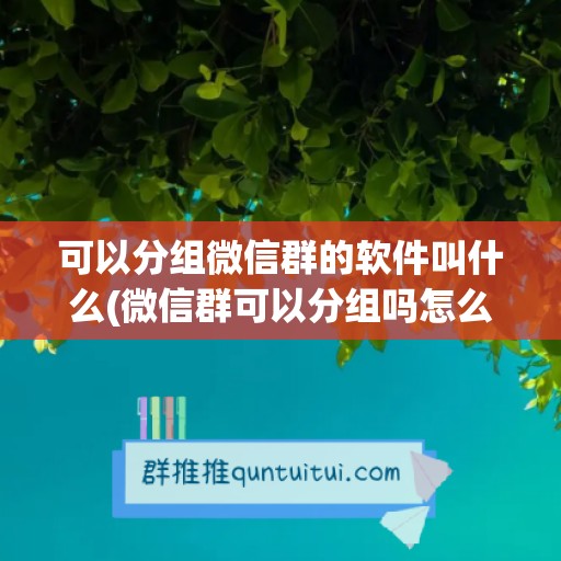 可以分组微信群的软件叫什么(微信群可以分组吗怎么分组)