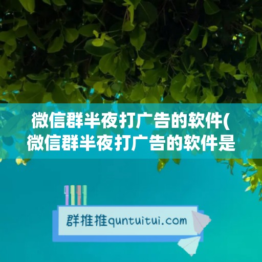 微信群半夜打广告的软件(微信群半夜打广告的软件是什么)