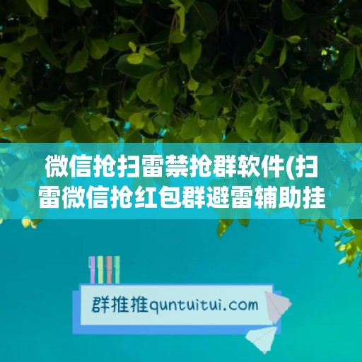 微信抢扫雷禁抢群软件(扫雷微信抢红包群避雷辅助挂)