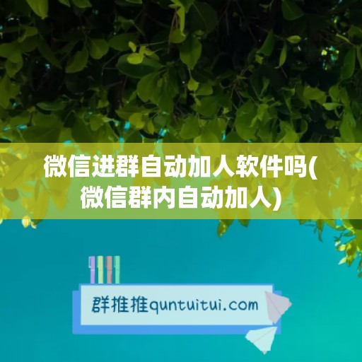 微信进群自动加人软件吗(微信群内自动加人)