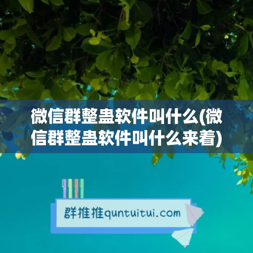 微信群整蛊软件叫什么(微信群整蛊软件叫什么来着)