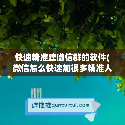 快速精准建微信群的软件(微信怎么快速加很多精准人)