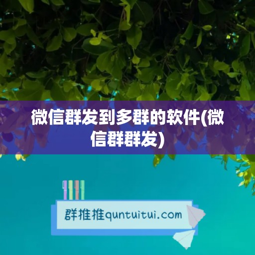 微信群发到多群的软件(微信群群发)