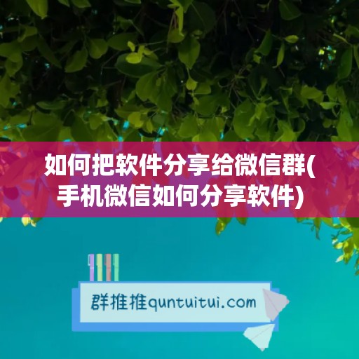 如何把软件分享给微信群(手机微信如何分享软件)