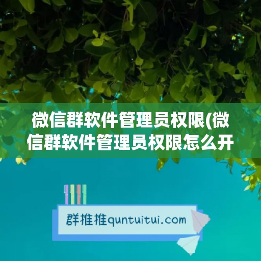 微信群软件管理员权限(微信群软件管理员权限怎么开启)