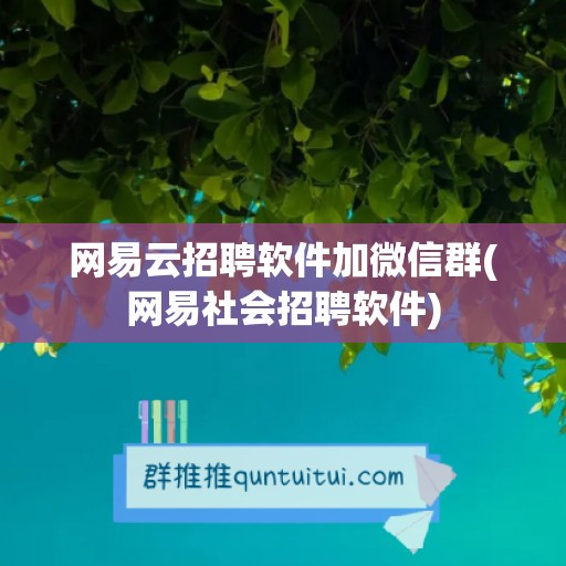 网易云招聘软件加微信群(网易社会招聘软件)