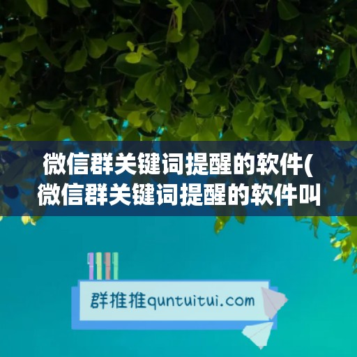 微信群关键词提醒的软件(微信群关键词提醒的软件叫什么)