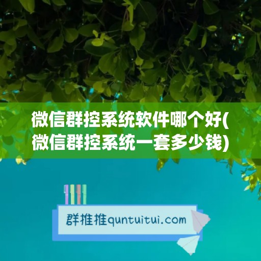 微信群控系统软件哪个好(微信群控系统一套多少钱)