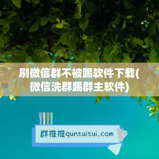 刷微信群不被踢软件下载(微信洗群踢群主软件)