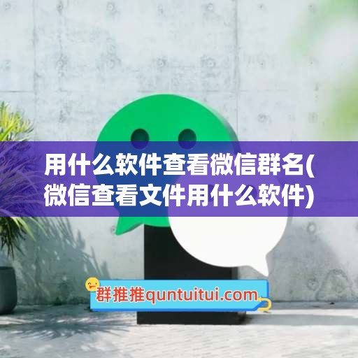 用什么软件查看微信群名(微信查看文件用什么软件)