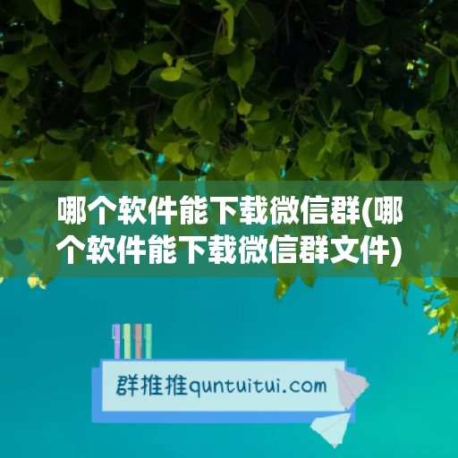 哪个软件能下载微信群(哪个软件能下载微信群文件)