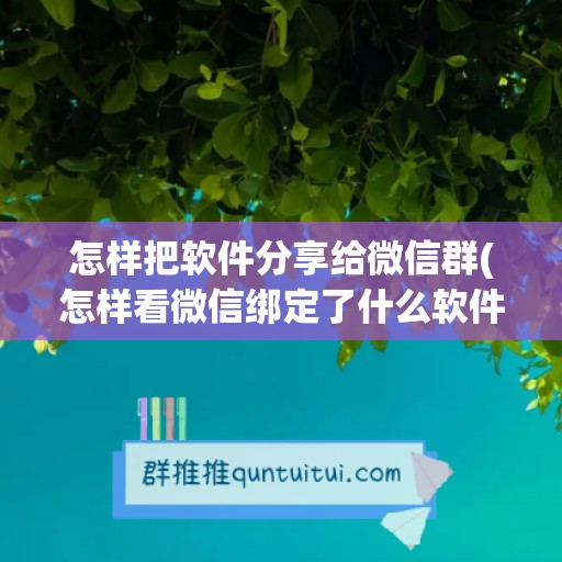 怎样把软件分享给微信群(怎样看微信绑定了什么软件)