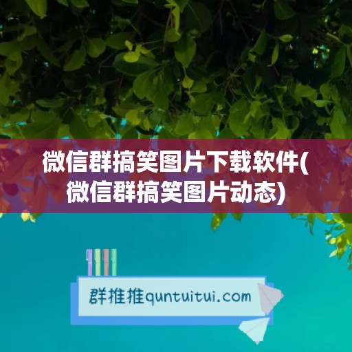 微信群搞笑图片下载软件(微信群搞笑图片动态)