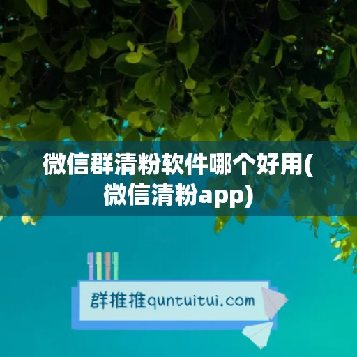 微信群清粉软件哪个好用(微信清粉app)