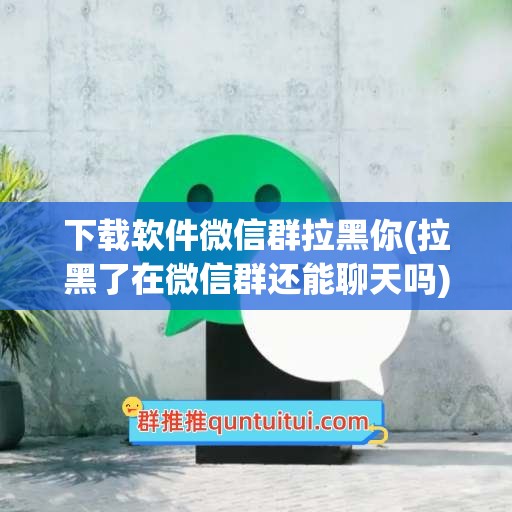 下载软件微信群拉黑你(拉黑了在微信群还能聊天吗)