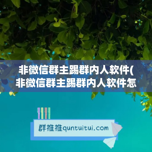 非微信群主踢群内人软件(非微信群主踢群内人软件怎么踢)