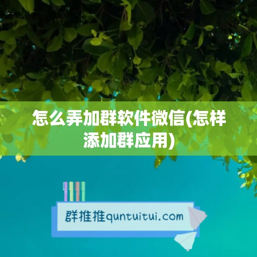 怎么弄加群软件微信(怎样添加群应用)