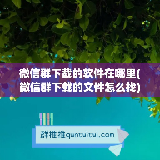 微信群下载的软件在哪里(微信群下载的文件怎么找)