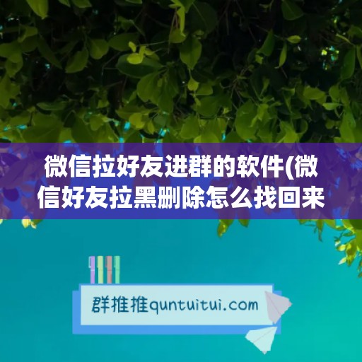 微信拉好友进群的软件(微信好友拉黑删除怎么找回来)