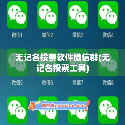 无记名投票软件微信群(无记名投票工具)